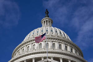 Конгресс США запретил называть COVID-19 «китайским вирусом»