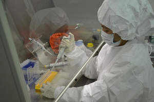 Казахстан разрабатывает четыре вакцины-кандидата против COVID-19