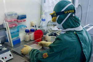 Лекарство против коронавируса создали в России