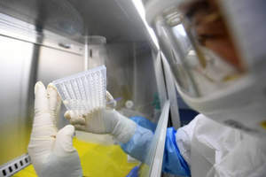 Уже 137 случаев коронавируса зарегистрировано в Казахстане