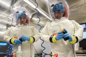Уханьский институт вирусологии опроверг слухи об искусственном происхождении коронавируса