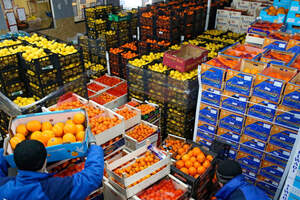 Оптовые цены на продукты поднялись в Казахстане
