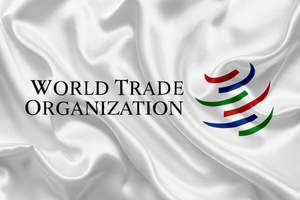 Казахстан отменил конференцию ВТО. Ближайшие полгода — тишина