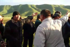 Кормить коров будем в акимате, их бумажными отписками — фермеры Алматинской области