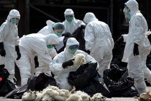 Китайским коронавирусом могли заразиться сотни людей в разных странах