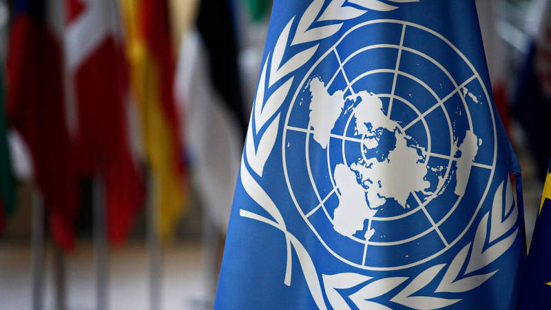 Россия и Китай выступили против про-американского заявления Совбеза ООН