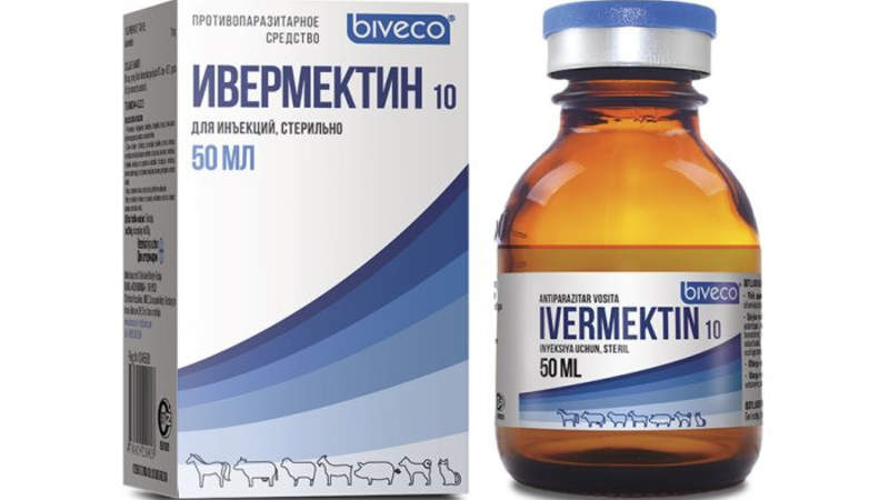 Лекарство от глистов хорошо лечит от COVID-19 — ученые Австралии